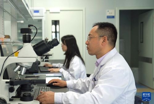 新華全媒 我國科研團(tuán)隊首次構(gòu)建泛癌種脈管系統(tǒng)全息細(xì)胞圖譜