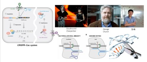 產(chǎn)業(yè)風(fēng)口下的生物藥開發(fā)與技術(shù)熱點(diǎn)——百奧賽圖大會協(xié)辦聚焦醫(yī)學(xué)研究與試驗(yàn)發(fā)展