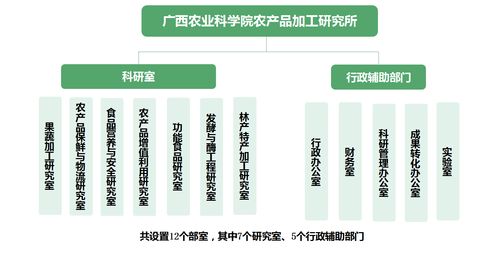 跨界融合 廣西農(nóng)科院農(nóng)產(chǎn)品加工研究所的醫(yī)學(xué)研究與試驗(yàn)發(fā)展新路徑