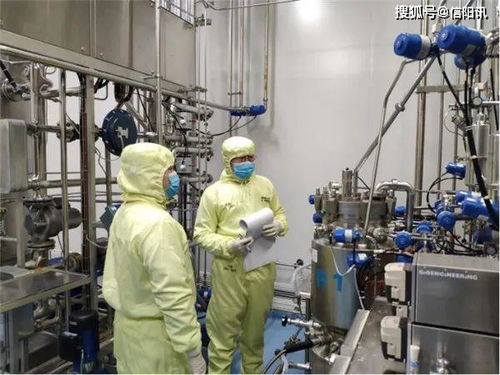 英雄武漢有序重啟 科研鏡頭聚焦醫(yī)學(xué)研發(fā)新篇章